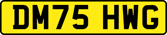 DM75HWG