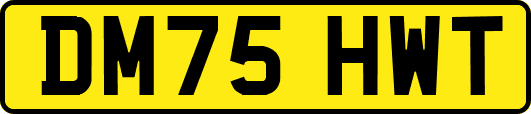 DM75HWT