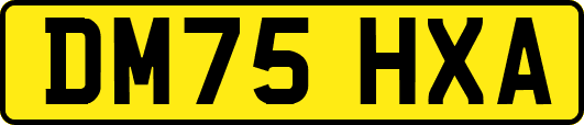 DM75HXA