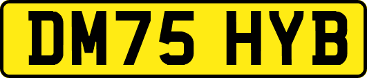 DM75HYB