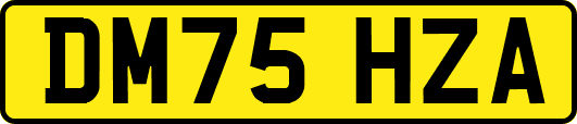 DM75HZA
