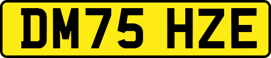 DM75HZE