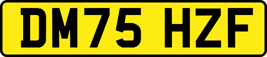 DM75HZF