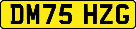 DM75HZG