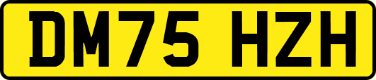DM75HZH