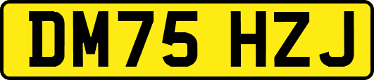 DM75HZJ