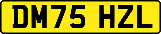 DM75HZL