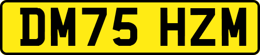 DM75HZM