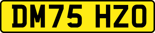 DM75HZO