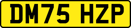 DM75HZP