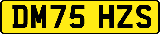 DM75HZS