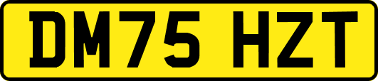 DM75HZT