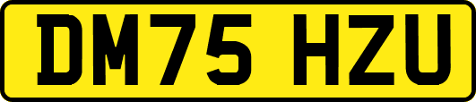 DM75HZU
