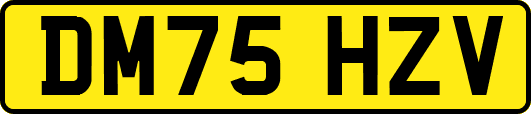 DM75HZV