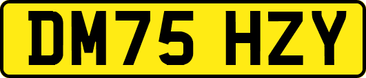 DM75HZY