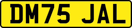 DM75JAL