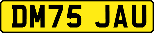 DM75JAU
