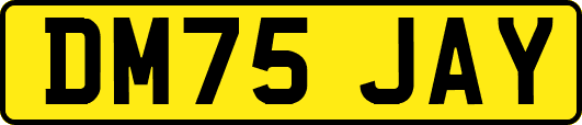 DM75JAY