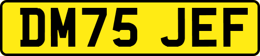 DM75JEF