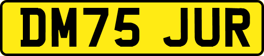 DM75JUR