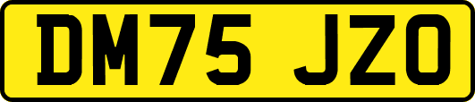 DM75JZO