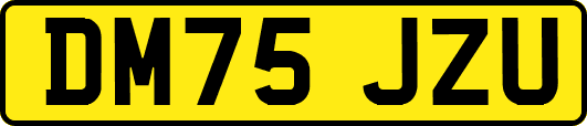 DM75JZU