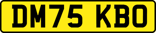 DM75KBO