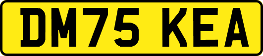 DM75KEA