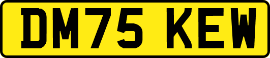 DM75KEW