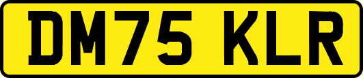 DM75KLR