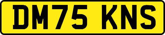 DM75KNS