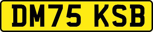 DM75KSB