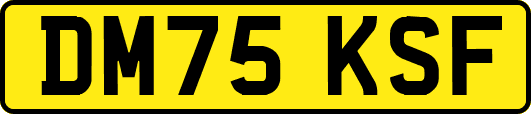 DM75KSF