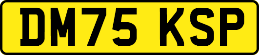 DM75KSP