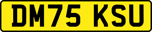 DM75KSU