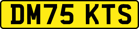 DM75KTS