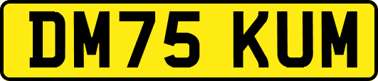 DM75KUM