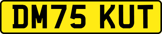 DM75KUT