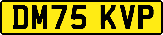 DM75KVP