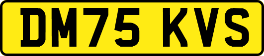 DM75KVS