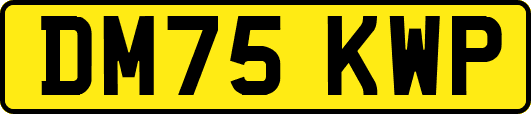 DM75KWP