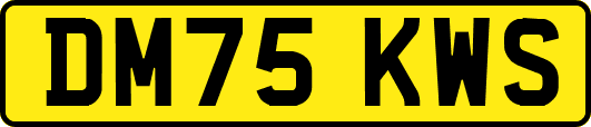 DM75KWS