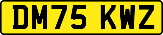 DM75KWZ