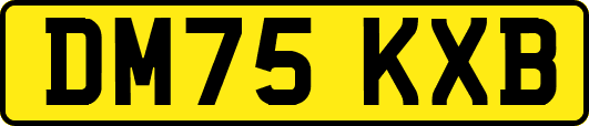 DM75KXB