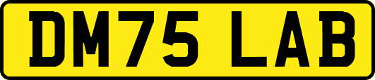 DM75LAB
