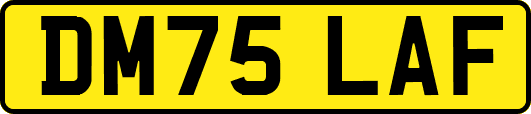 DM75LAF
