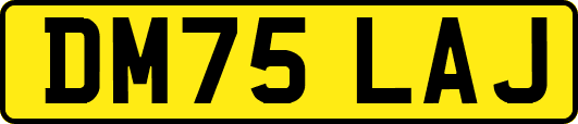 DM75LAJ