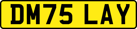 DM75LAY