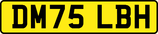 DM75LBH