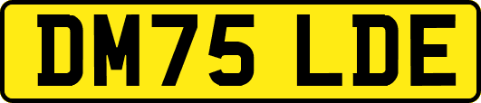 DM75LDE